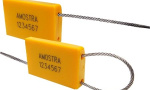 lacres-de-seguranca-semi-barreira-safelock-g-slm-150x90-c56adf98eb33d10ddd3d4c145ad44dcc Form